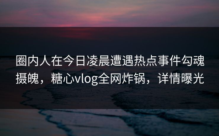 圈内人在今日凌晨遭遇热点事件勾魂摄魄，糖心vlog全网炸锅，详情曝光