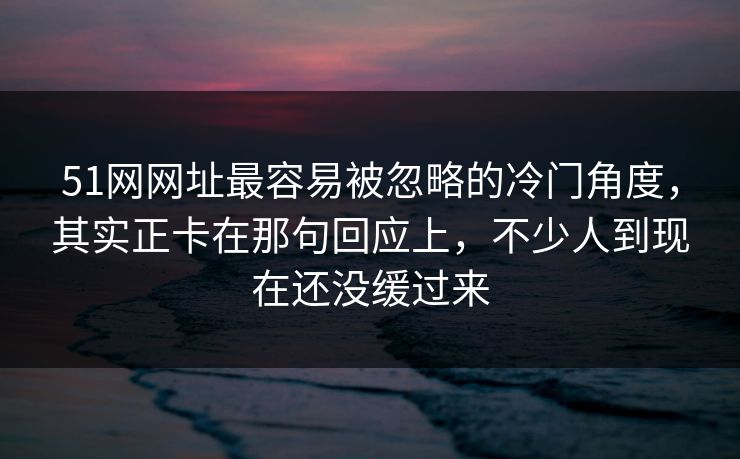 51网网址最容易被忽略的冷门角度，其实正卡在那句回应上，不少人到现在还没缓过来